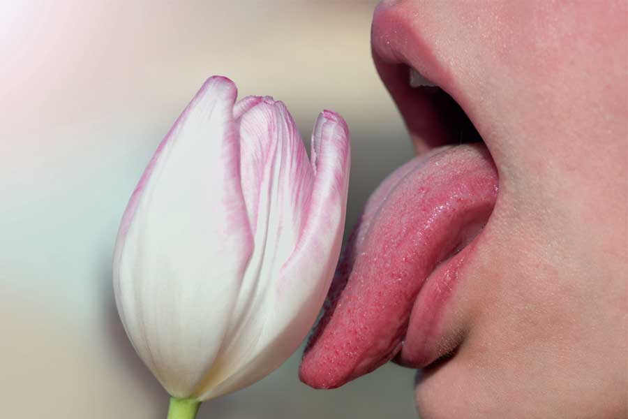 Fellatio: How To Give A Blowjob