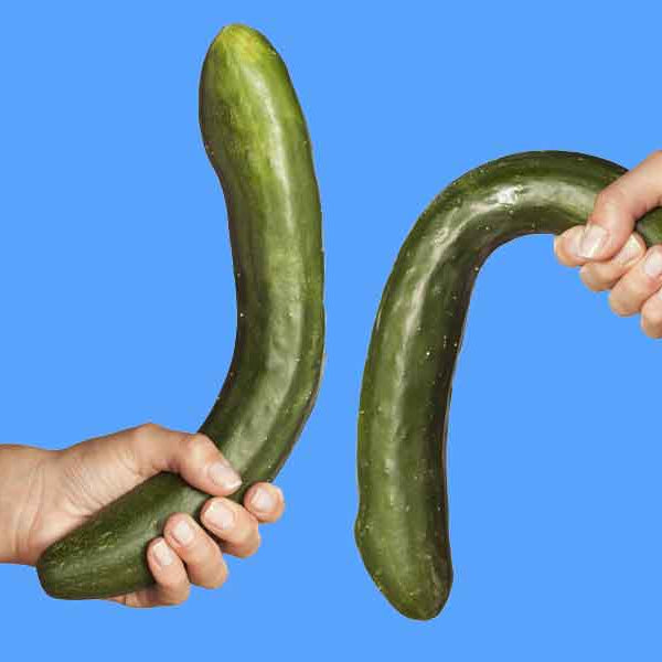 Zucchini, Penile Implants
