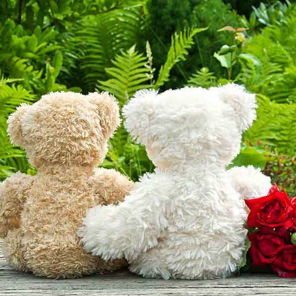 Romantic Teddy Bears, Senior Sex Tips