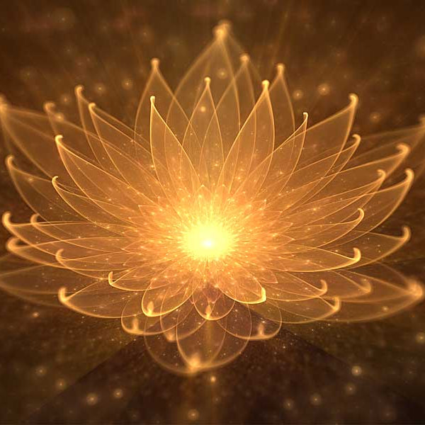 Glowing Lotus, Sex & Spirituality