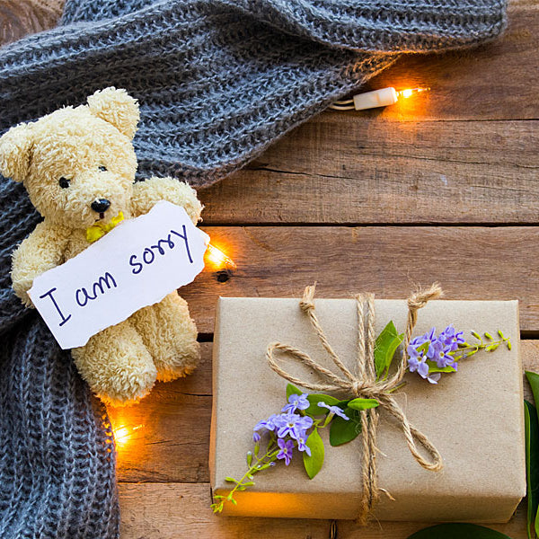 Teddy bear with gift and apology sign