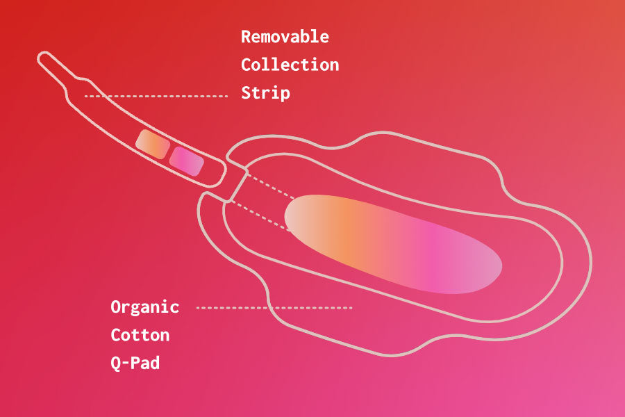 Qvin's Q-Pad: Diabetes Blood Testing Through Menstrual Pads