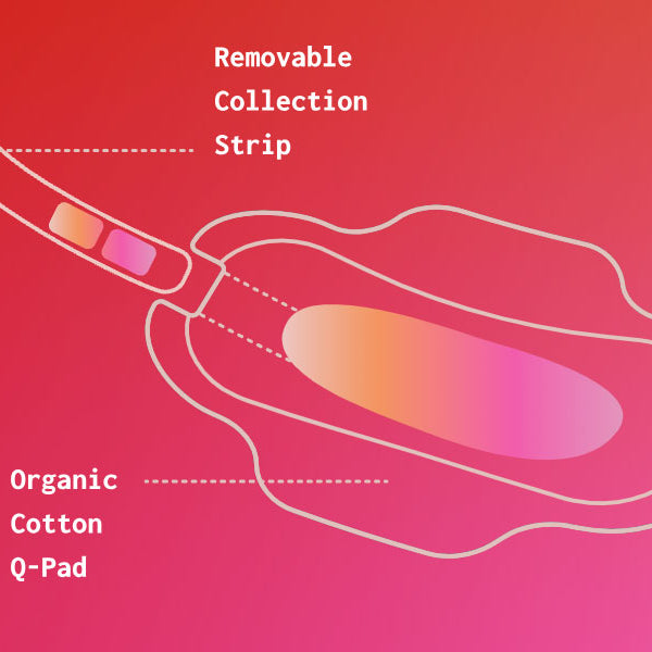 Diagram of the Q-pad for blood testing through a menstrual pad