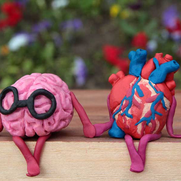 Clay sculpture brain, heart, Brain Chemistry & Love