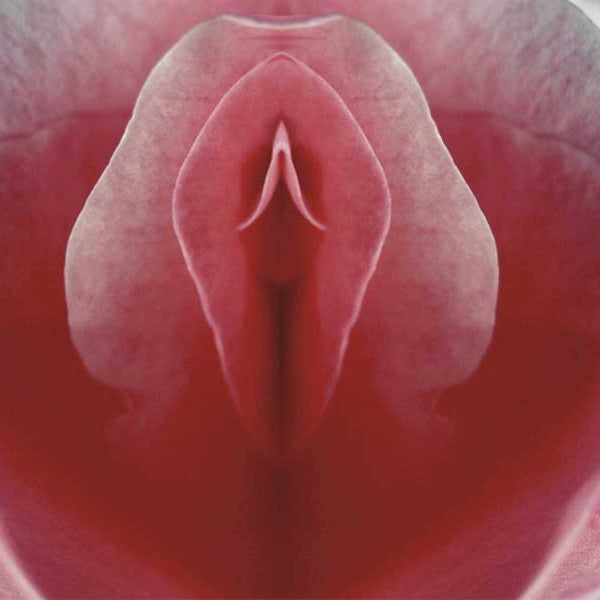 Rose, Cunnilingus Techniques