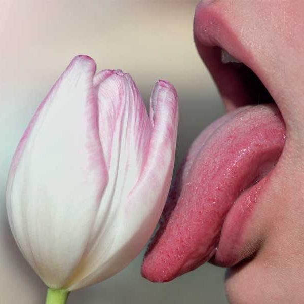 Flower, tongue, Fellatio: How To Give A Blowjob