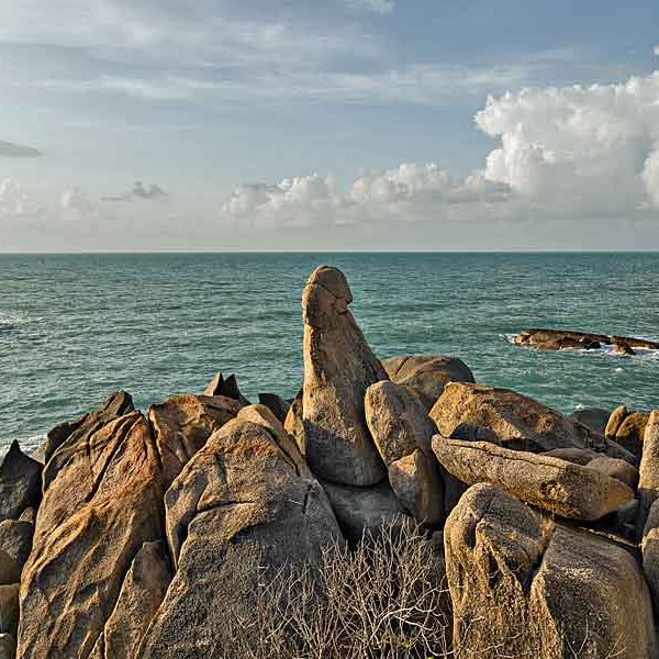 Phallic Rock Formation, Penis Facts