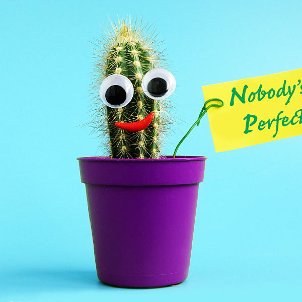 Cactus with googly eyes holding sign that says nobody's perfect