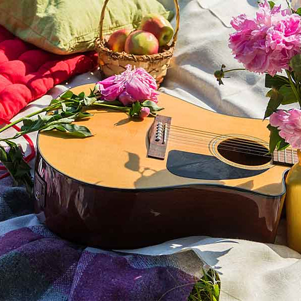 Picnic with Guitar, Sex & Sound