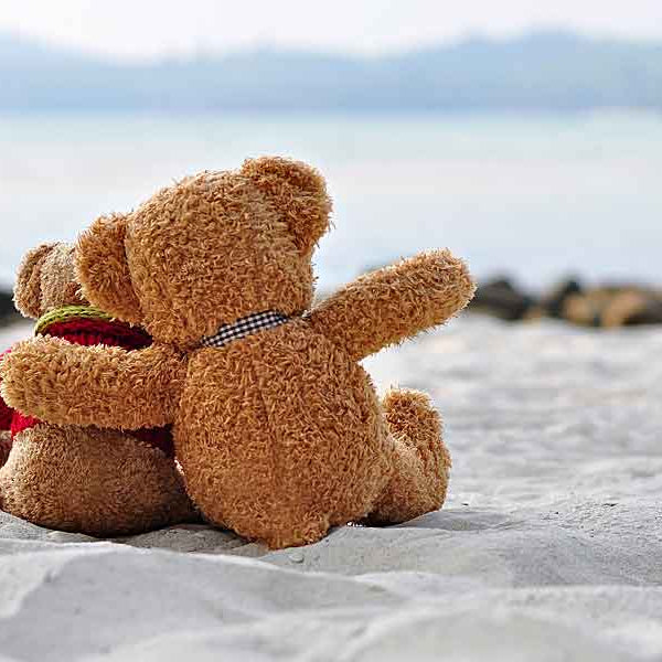 Teddy Bears On Beach, Romantic Getaways