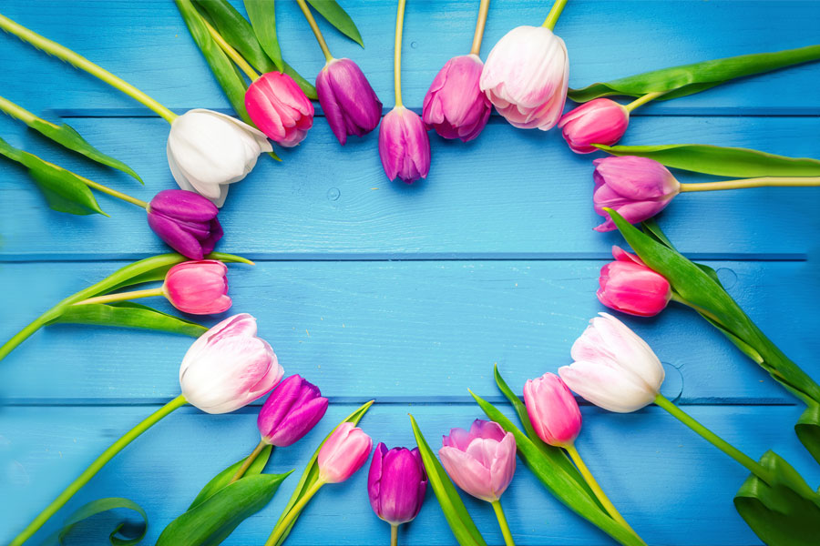 Springtime Romance: 7 Ideas For A Relationship Refresh