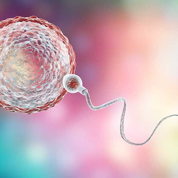 Egg, sperm, Sterilization: Tubal Ligation & Vasectomy