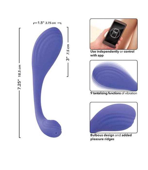 Connect App Based Kegel Exerciser
