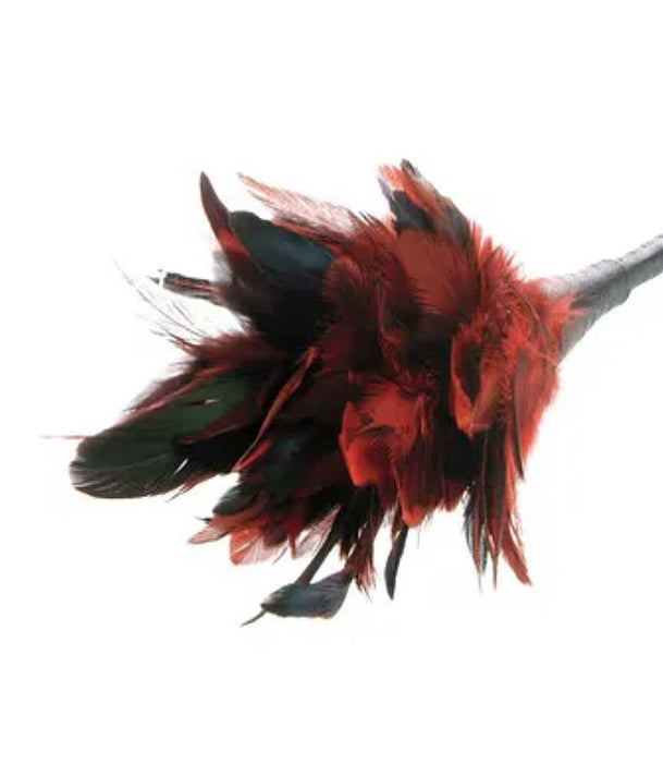 Fetish Fantasy Series Frisky Feather Duster Red