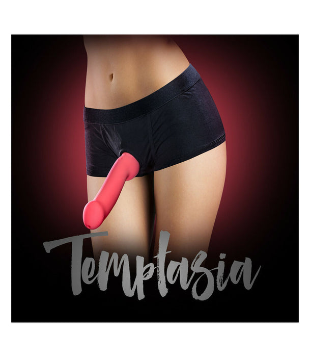 Temptasia Harness Briefs