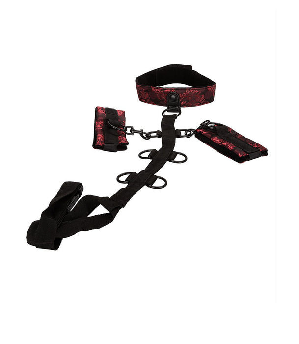 Scandal Collar Body Restraint