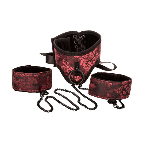 Scandal Posture Collar With Cuffs