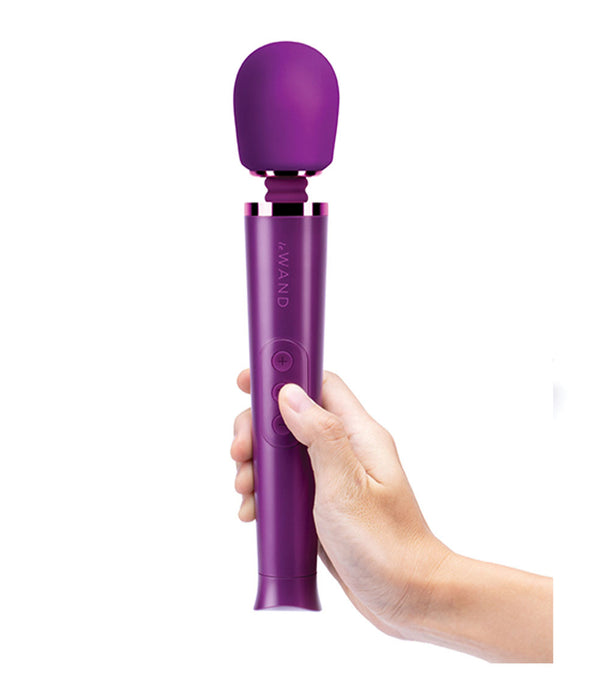 Le Wand Petite Wand Vibrator