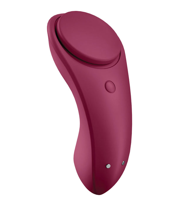 Sexy Secret Panty Vibrator