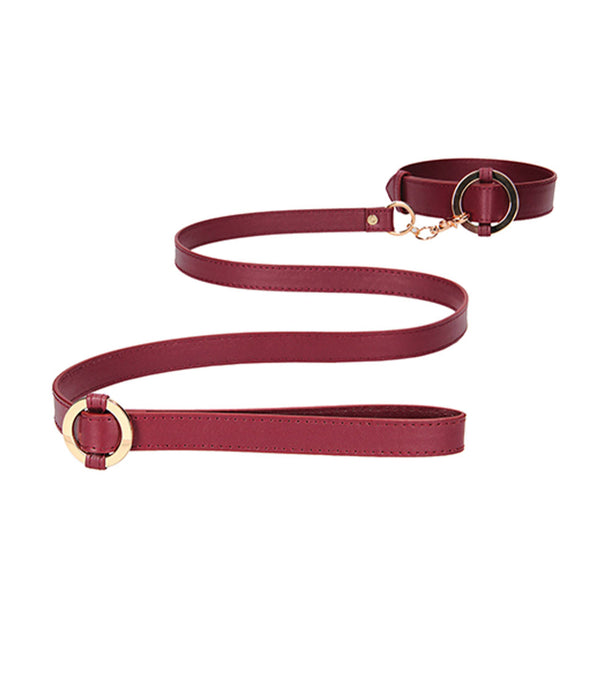 Halo Collar & Leash